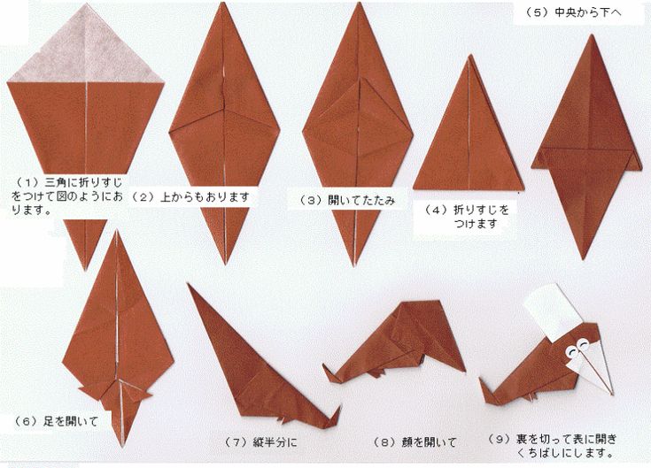 どんな紙だと音が大きい？【紙鉄砲の作り方とコツ】-折り紙 ASOPPA！レシピ - あそっぱ！