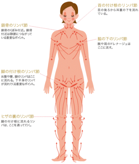 リンパマッサージを受ける際には注意点がある？施術の際のヒントとは | 南条郡のリンパマッサージ