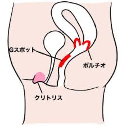 自称しみケンの解説】手マンの達人が絶対にイかせるコツ10選を伝授！イッたことのない子も悶え絶頂するテクはこれ！ | 