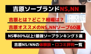 吉原NSソープ高級店 マリア 大島優子似のGカップ巨乳顔出しギャルふうさん口コミ体験レポまとめ