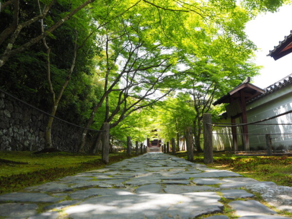 京都の夏を楽しむ！涼しく過ごせるおすすめスポット！｜ホテル・別荘のリゾート会員権なら東急バケーションズ