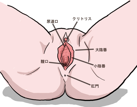 だいしゅきホールドのやり方を画像と動画で図解！男性がメロメロになるやり方とは？