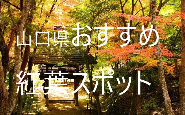 混雑回避！宇都宮・茂木・栃木市エリアで見たい！穴場の紅葉スポット【栃木】 ｜じゃらんニュース