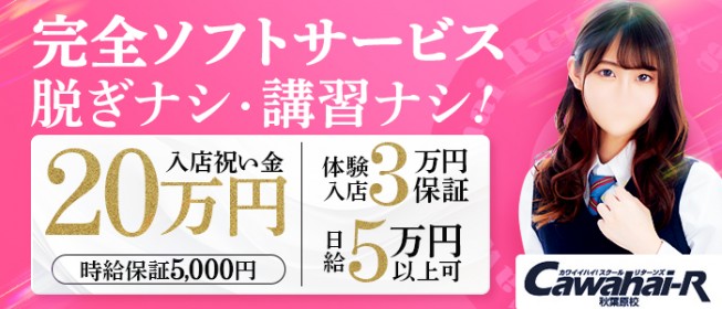 神田・秋葉原の風俗求人【バニラ】で高収入バイト