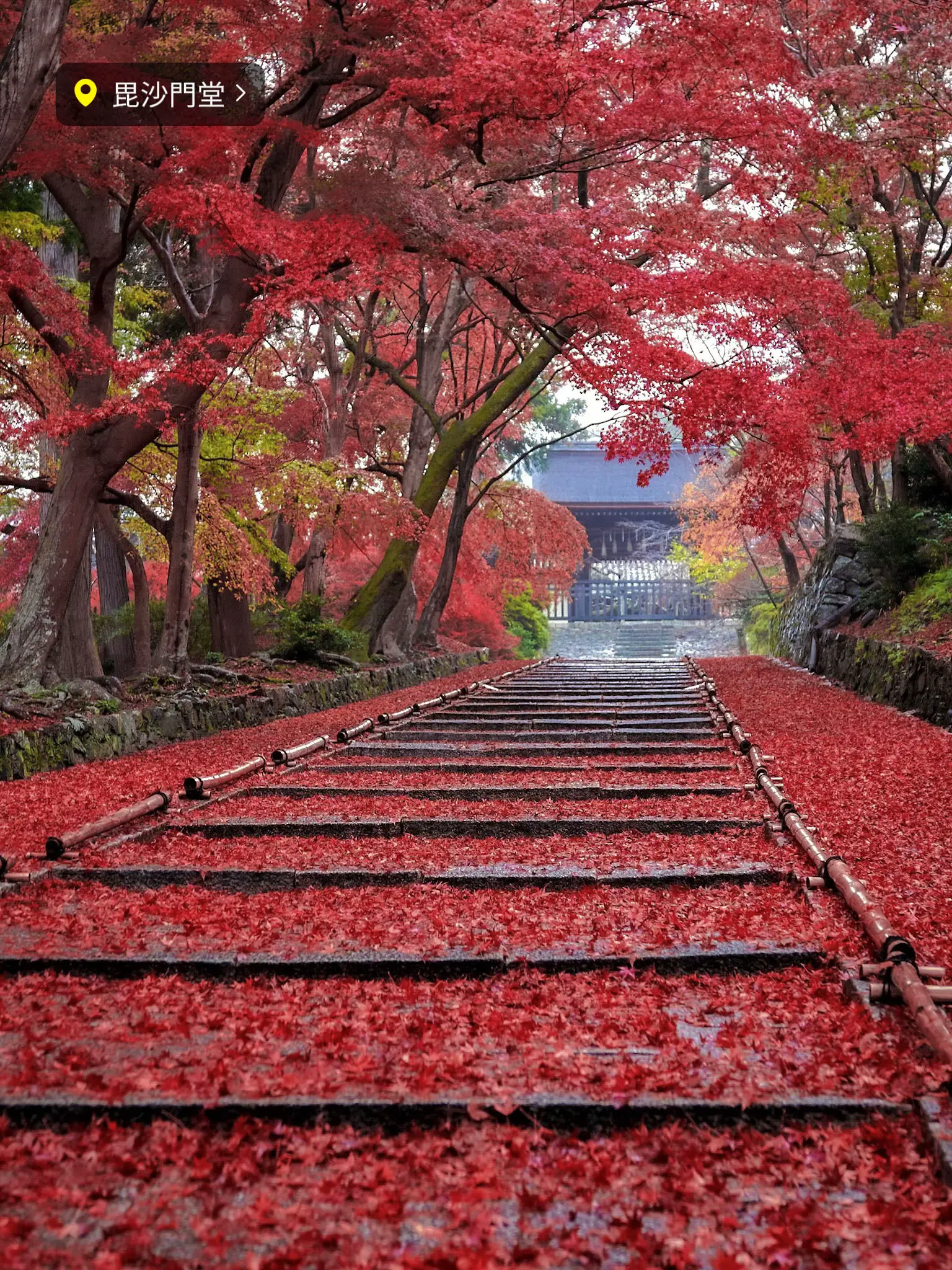 奈良】地元の人がこっそり教える「穴場紅葉ポット」