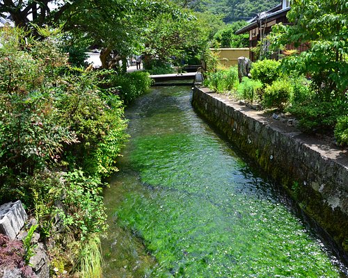 米原市 子供の遊び場・子連れお出かけスポット |