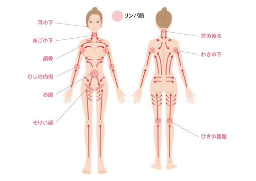 むくみ、たるみを即解消 リンパ流しマッサージ -