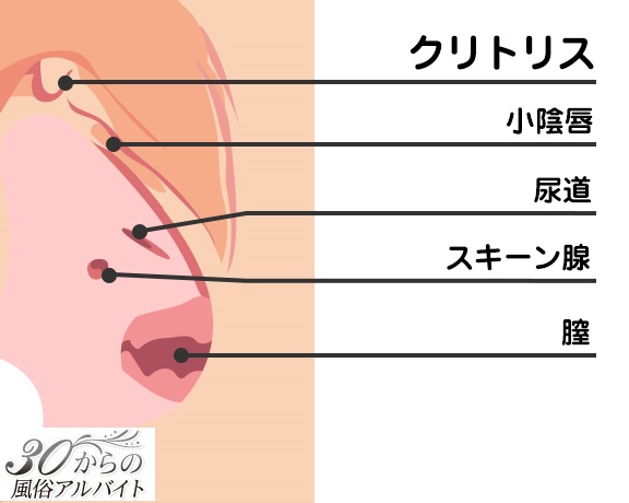 クリトリスの触り方！クリ愛撫でのいじり方 - 夜の保健室