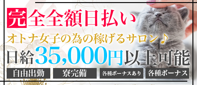 体験談】錦糸町発のデリヘル「ピュアセレクション」は本番（基盤）可？口コミや料金・おすすめ嬢を公開 | Mr.Jのエンタメブログ