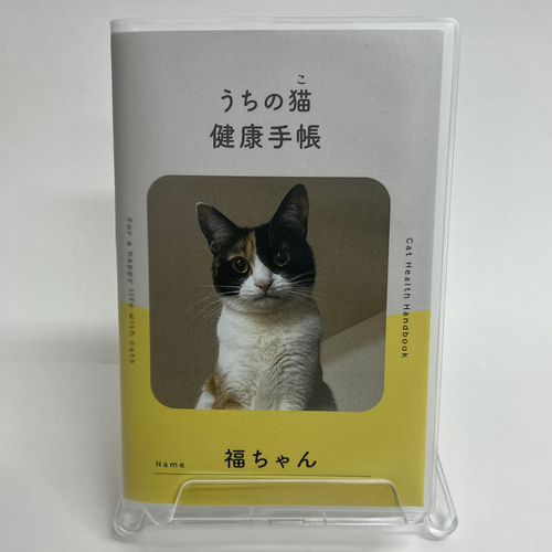 診療・手術案内｜一宮市の動物病院 ふるはし動物病院