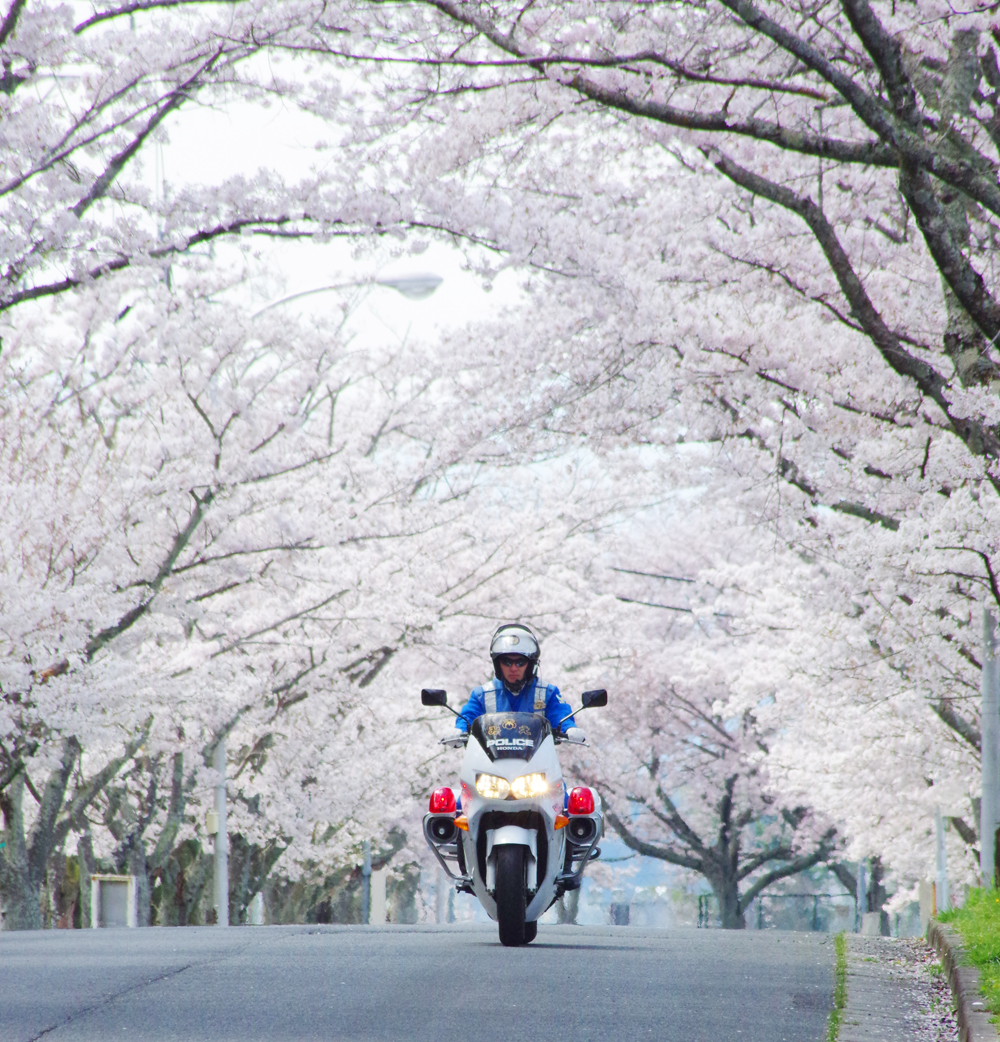 赤目四十八滝 – 三重