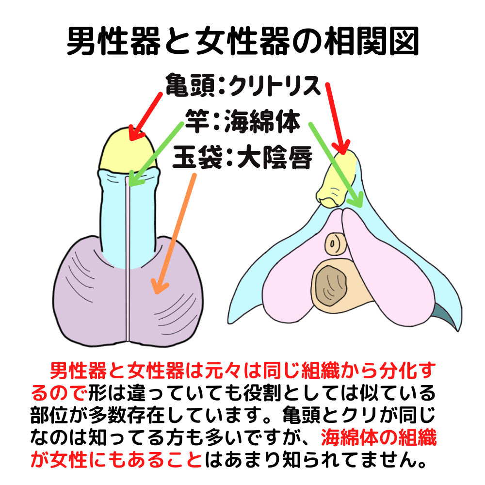 中イキしたい女性におすすめのバイブ16選！ おもちゃの選び方や注意点も紹介 | オトナのハウコレ