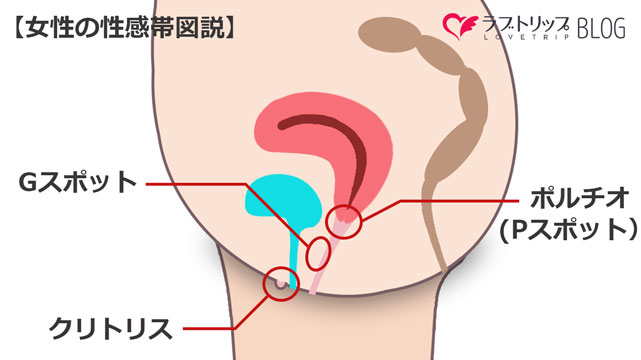 Gスポットの開発方法をマンガで解説！位置や女性の体験談も紹介