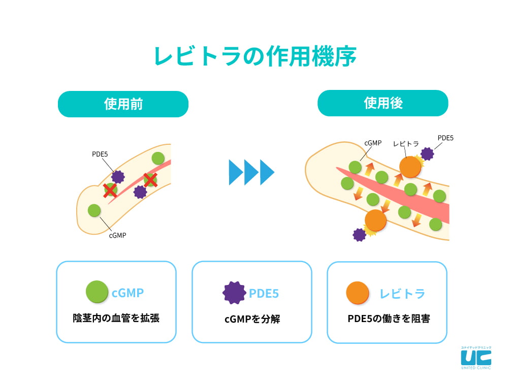 バルデナフィルFAQ - 新宿ウエストクリニック