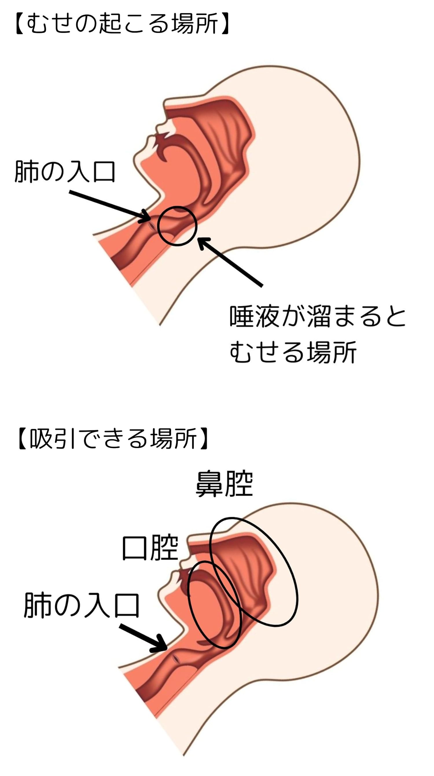 キスと唾液の関係性とトラブルの解決策って？唾液交換についても紹介！ - Peachy（ピーチィ） -