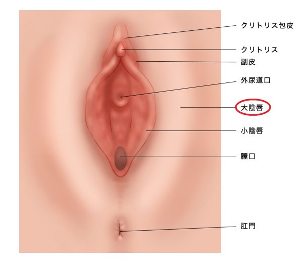 女性が気持ちいいと感じる上手な手マンのやり方やコツを徹底解説！｜駅ちか！風俗雑記帳