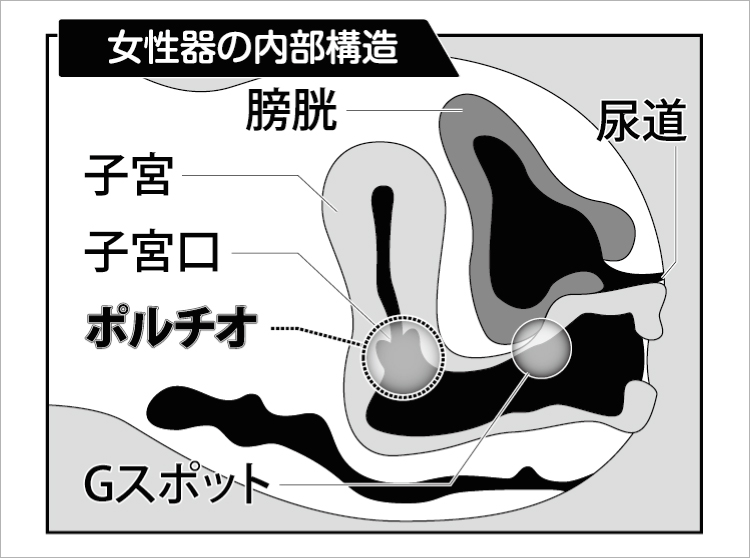 ポルチオ開発完全ガイド！手やあそこでの刺激方法・中逝きさせれる体位を教えます | Men's