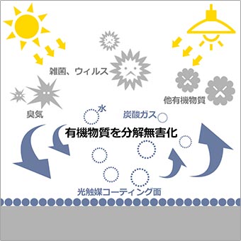 恋肌(こいはだ)の料金・口コミ評判・学割などのキャンペーンを解説！回数別の効果・6つのおすすめ理由を紹介