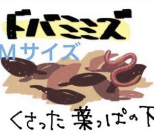 益田のつぶやき | 株式会社オープンハウス