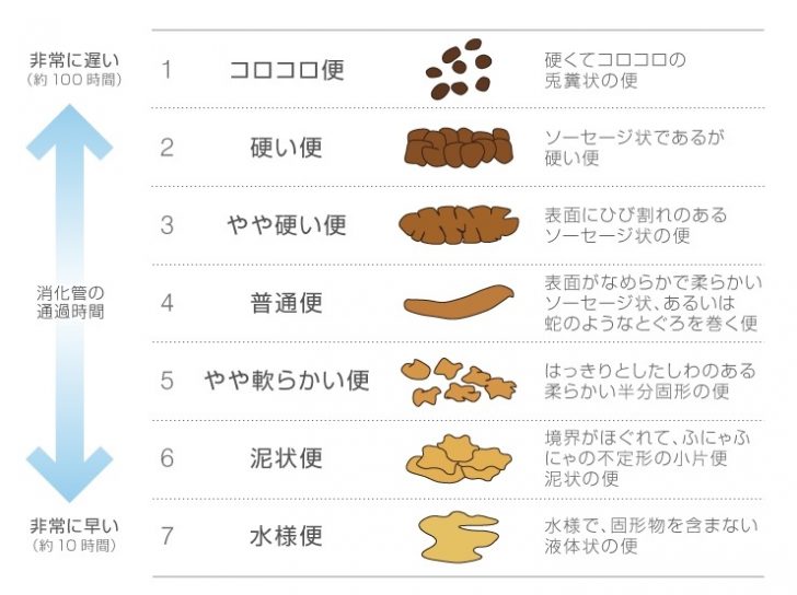 グリセリン浣腸液50％「ケンエー」[Lタイプ] | 健栄製薬株式会社 | 感染対策・手洗いの消毒用エタノールのトップメーカー