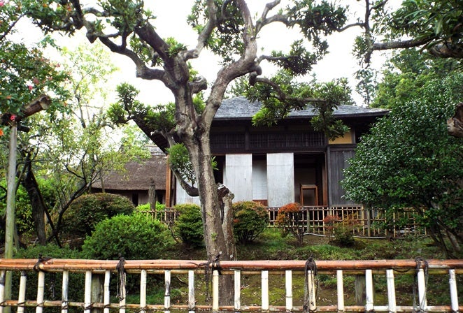 東南植物楽園「沖縄南国イルミネーション」生命の滝プロデュース | 夜景観光コンベンション・ビューロー