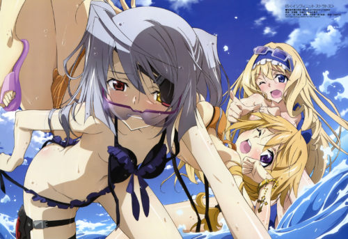 IS〈インフィニット・ストラトス〉2 : 一般アニメエロシーンまとめ (Anime Ecchi