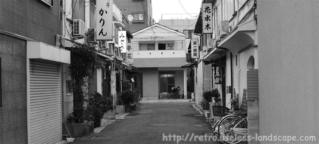 神奈川県真金町に存在していた「永真遊郭跡」を再度再び調査してみた！ | 知の冒険