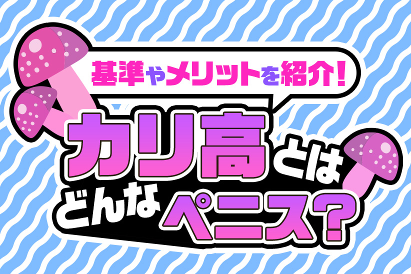 誰でも巨根になれるペニスサック「キングボーイ LLサイズ」 |