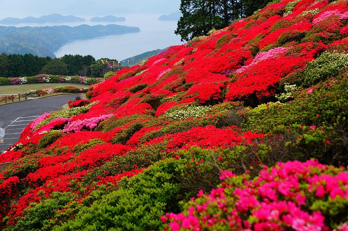 旅館です。 - 西海荘 の口コミ