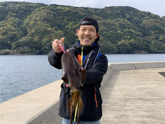 楠泊堤防｜青物も釣れる佐世保の小さな穴場釣り堤防 | ゆっくいさせぼ