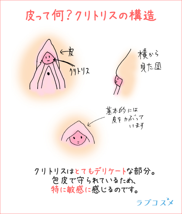 ヤリチンが解説】まんこの大きさは人によって違いがある！最適なサイズとはどれなの？ | Trip-Partner[トリップパートナー]