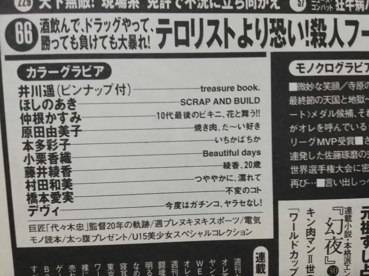 美女 規格外ボディ 井川遥 20枚 L版