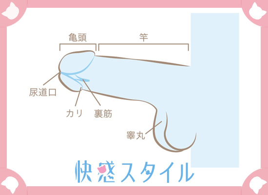 モテたい男性必見】有名人に学ぶ、5つのタイプ別・女性を気持ちよくさせる話の聴き方 | ダ・ヴィンチWeb