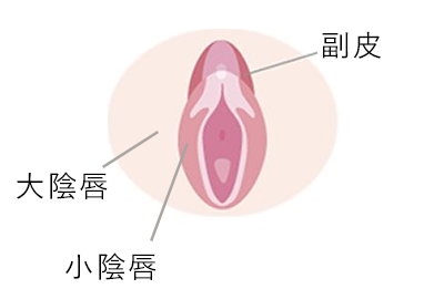 皮を剥くってどこまで？」男児のむく・むかない問題の曖昧さ【医師に聞く】｜CHANTO WEB