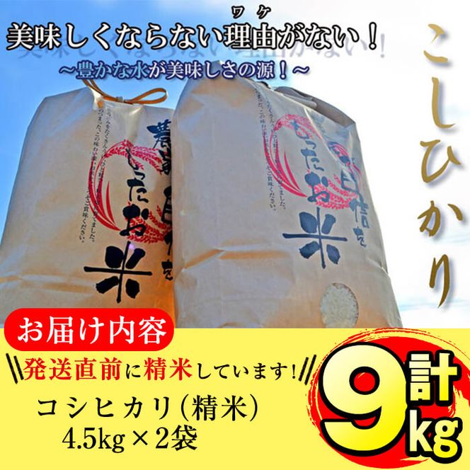 川崎宗則 大谷翔平の今季“イチ押し”アーチは15号、そのワケは「160キロの球をバレルゾーンで…」― スポニチ Sponichi Annex