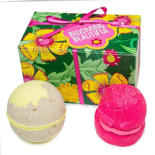 LUSH - 【送料込】LUSH バスボム 8個セット