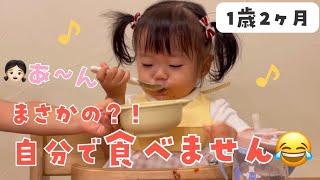 自分の日常が海外でバズった」着物姿の3歳児ママYouTuber・MOE人気の秘密｜CHANTO WEB