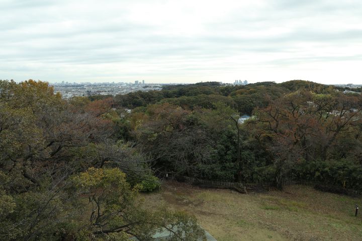 三菱地所、横浜市に大型テーマパーク 31年にも開業 - 日本経済新聞